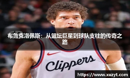 bsports官网入口